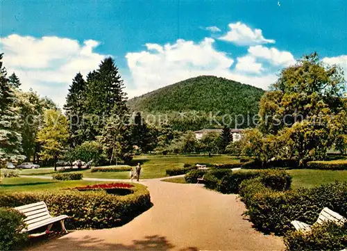 AK / Ansichtskarte Reinhardshausen Kurpark mit Homberg Reinhardshausen