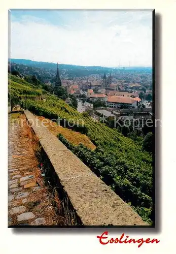 AK / Ansichtskarte Esslingen_Neckar Blick von der Burg Esslingen Neckar