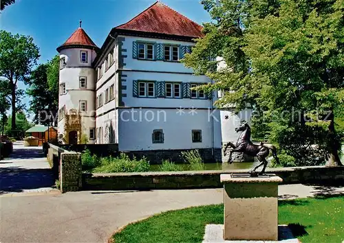 AK / Ansichtskarte Bad_Rappenau Wasserschloss Bad_Rappenau