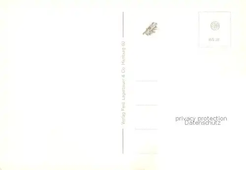 AK / Ansichtskarte Schulau_Wedel Schulauer Faehrhaus Willkomm Hoeft Elbepartie Dreimaster Segelschiff Leuchtturm Schulau_Wedel