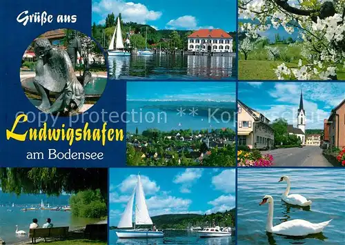 AK / Ansichtskarte Ludwigshafen_Bodensee Bootshafen Kirschbluete Fliegeraufnahme Ortsmotiv Kirche Schwaene Ludwigshafen Bodensee