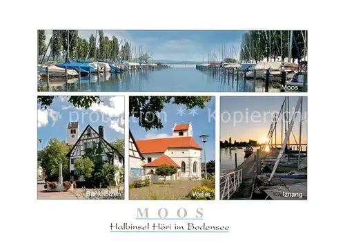 AK / Ansichtskarte Moos_Bodensee Bootshafen Bankholzen Weiler Iznang Moos Bodensee