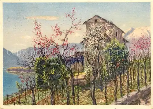 AK / Ansichtskarte Locarno_TI Galeggi Kuenstlerkarte Locarno_TI