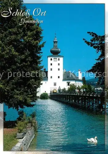 AK / Ansichtskarte Gmunden_Salzkammergut Schloss Ort am Traunsee Schwan Gmunden Salzkammergut