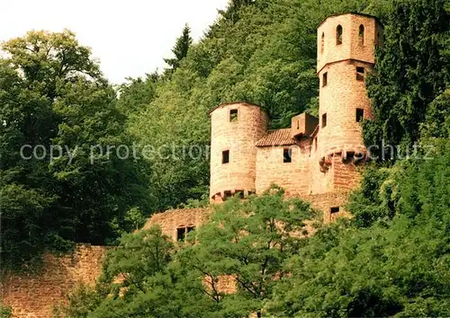 AK / Ansichtskarte Neckarsteinach Burg Schwalbennest Neckarsteinach