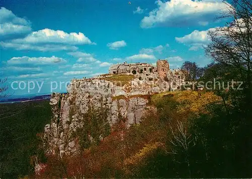 AK / Ansichtskarte Blankenburg_Harz Burg Regenstein Ruine Blankenburg_Harz