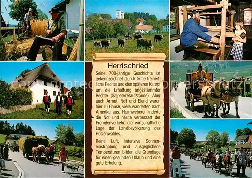 AK / Ansichtskarte Herrischried Heuernte Schreinerei Trachten Heuwagen Pferdekutsche Viehabtrieb Herrischried