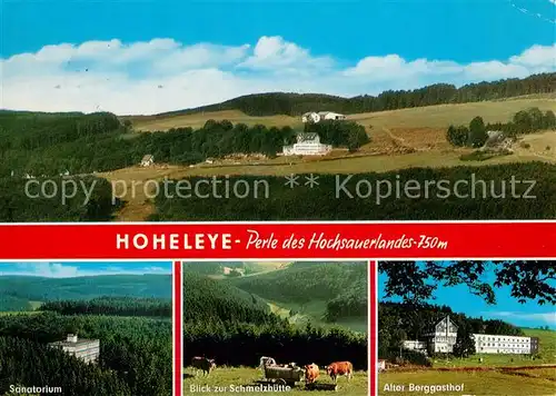 AK / Ansichtskarte Hoheleye Panorama Sanatorium Schmelzhuette Alter Berggasthof Hoheleye