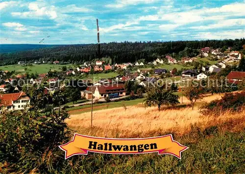 AK / Ansichtskarte Hallwangen Panorama Hallwangen