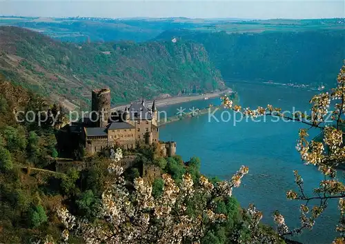 AK / Ansichtskarte St_Goarshausen Panorama Rheintal Burg Katz und Loreley Baumbluete St_Goarshausen