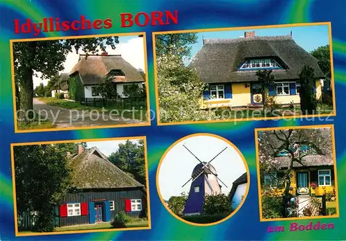 AK / Ansichtskarte Born_Darss Typische Wohnhaeuser der Region Windmuehle Born_Darss