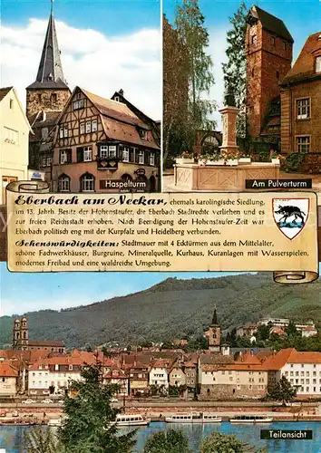 AK / Ansichtskarte Eberbach_Neckar Haspelturm Pulverturm Brunnen Blick ueber den Neckar Eberbach Neckar