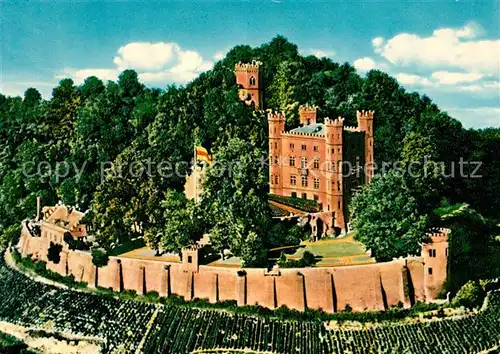 AK / Ansichtskarte Ortenberg_Baden Schloss Fliegeraufnahme Ortenberg_Baden