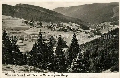 AK / Ansichtskarte Warmensteinach Blick vom Geiersberg Warmensteinach