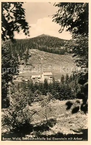 AK / Ansichtskarte Bayerisch_Eisenstein Seebachschleife mit Arber Bayerisch_Eisenstein