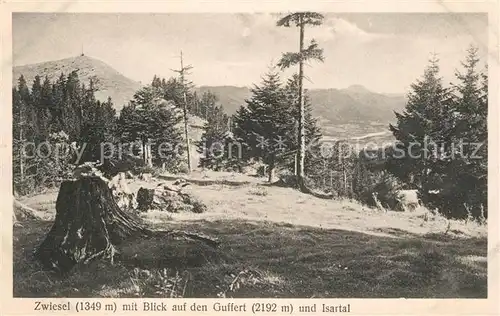 AK / Ansichtskarte Zwiesel_Niederbayern mit Guffert und Isartal Zwiesel Niederbayern