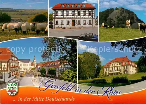AK / Ansichtskarte Gersfeld_Rhoen Schafe Rathaus Viehweide Kuehe Innenstadt Parkvilla Gersfeld Rhoen