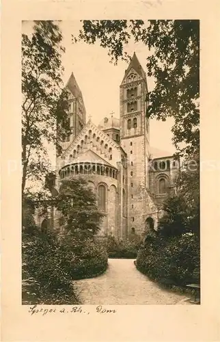 AK / Ansichtskarte Speyer_Rhein Dom Speyer Rhein