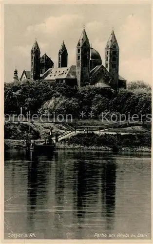 AK / Ansichtskarte Speyer_Rhein Dom Speyer Rhein