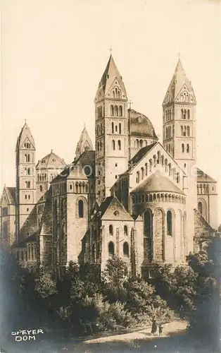 AK / Ansichtskarte Speyer_Rhein Dom Speyer Rhein