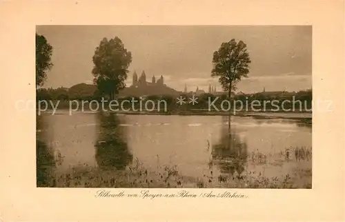 AK / Ansichtskarte Speyer_Rhein Silhouette vom Dom Am Altrhein Speyer Rhein