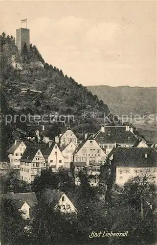 AK / Ansichtskarte Bad_Liebenzell Teilansicht mit Burg Bad_Liebenzell