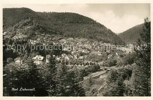 AK / Ansichtskarte Bad_Liebenzell Panorama Bad_Liebenzell