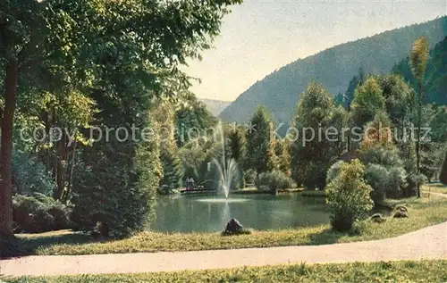 AK / Ansichtskarte Bad_Liebenzell Partie in den Koenig Wilhelm Anlagen Park Bad_Liebenzell