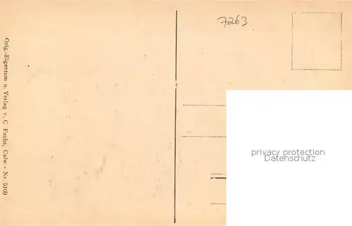 AK / Ansichtskarte Bad_Liebenzell Panorama Bad_Liebenzell