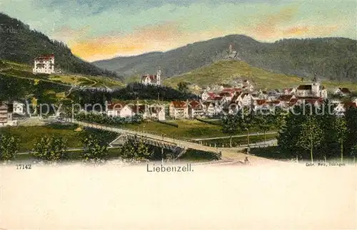 AK / Ansichtskarte Bad_Liebenzell Panorama Bad_Liebenzell