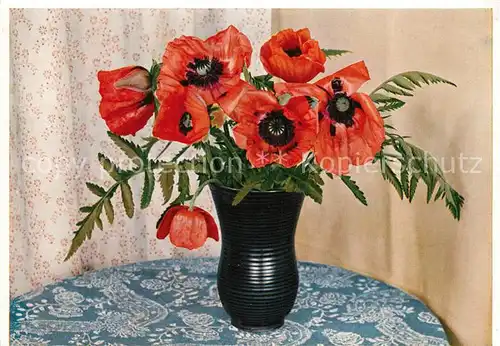 AK / Ansichtskarte Blumen Mohnblumen Vase  Blumen