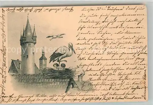 AK / Ansichtskarte Storch Babys  Storch