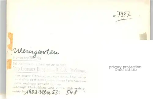 AK / Ansichtskarte Kirchenorgel Weingarten Basilika  Kirchenorgel