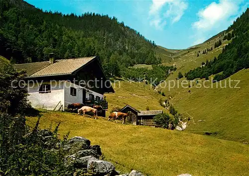 AK / Ansichtskarte St_Ulrich_Pillersee Lindtal Alm Kuehe St_Ulrich_Pillersee