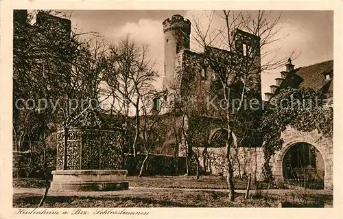 AK / Ansichtskarte Heidenheim_Brenz Schlossbrunnen Heidenheim Brenz