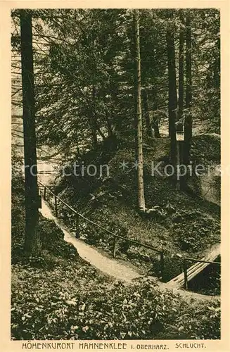 AK / Ansichtskarte Hahnenklee Bockswiese_Harz Schlucht Hahnenklee Bockswiese