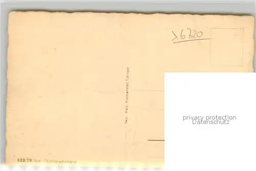 AK / Ansichtskarte Speyer_Rhein Dom Dampfer Rheinpartie Speyer Rhein