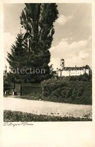 AK / Ansichtskarte Dillingen_Donau Blick zum Schloss Dillingen Donau