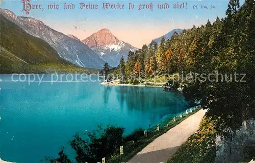 AK / Ansichtskarte Plansee Uferstrasse am See Alpenpanorama Psalm Plansee