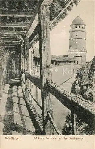 AK / Ansichtskarte Noerdlingen Blick von der Mauer auf das Loepsingertor Noerdlingen