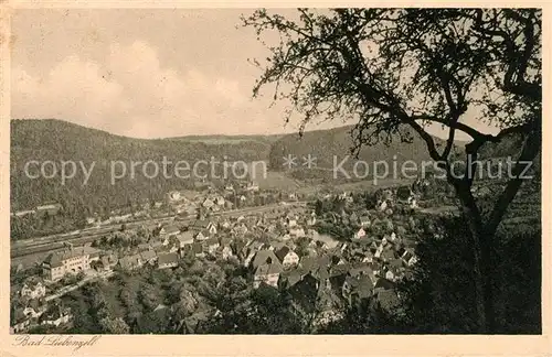 AK / Ansichtskarte Bad_Liebenzell Panorama Kurort im Schwarzwald Bad_Liebenzell