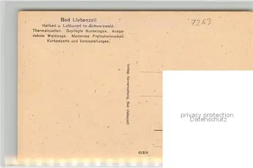 AK / Ansichtskarte Bad_Liebenzell Panorama Blick ins Tal Kurort im Schwarzwald Bad_Liebenzell