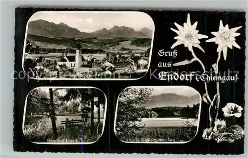 AK / Ansichtskarte Endorf_Chiemgau Gesamtansicht mit Alpenpanorama Moorbad Langbuergener See Edelweiss Einzian Endorf Chiemgau