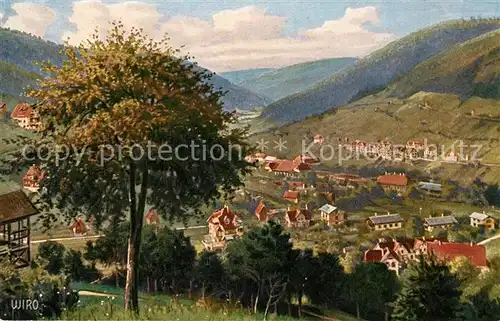 AK / Ansichtskarte Verlag_Wiedemann_WIRO_Nr. 2745 A Wildbad Enztal  Verlag_Wiedemann_WIRO_Nr.