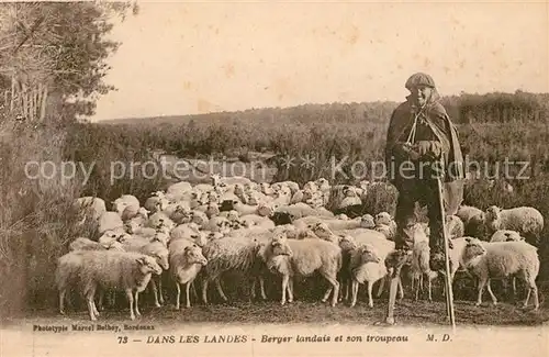 AK / Ansichtskarte Schafe Schaefer Stelzenlaeufer Berger Landais  Schafe