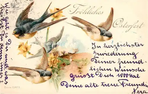 AK / Ansichtskarte Ostern_Easter_Paques Schwalben Narzissen Litho Ostern_Easter_Paques