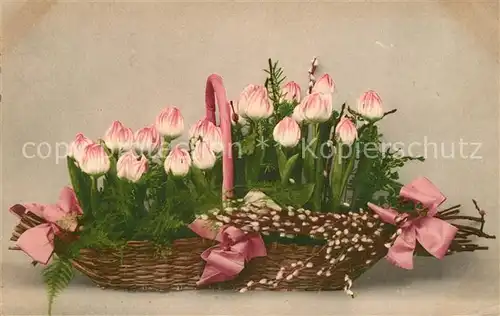 AK / Ansichtskarte Blumen Tulpen Korb Schleifen Blumen