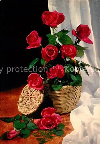 AK / Ansichtskarte Rosen  Rosen