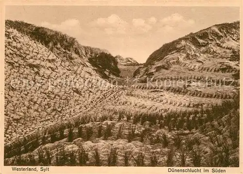 AK / Ansichtskarte Westerland_Sylt Duenenschlucht Westerland_Sylt