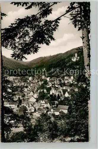 AK / Ansichtskarte Bad_Liebenzell Panorama Bad_Liebenzell